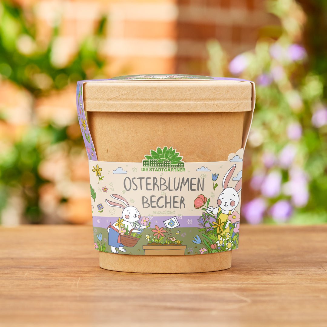 Blümchen aus dem Becher – Mini-Blumenbecher zum Selbstzüchten