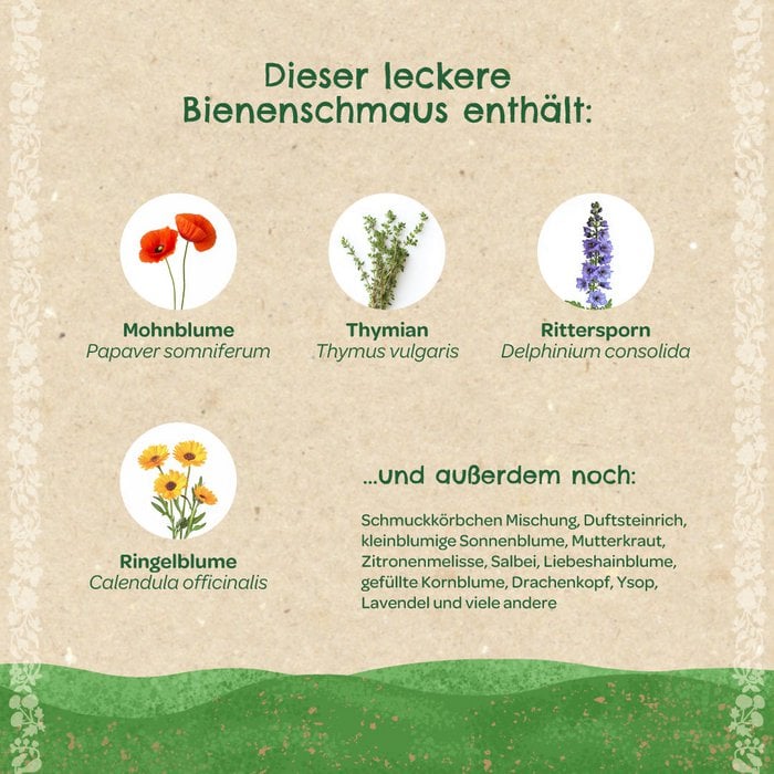 Bienenschmaus – Bienenfreundliche Saatmischung