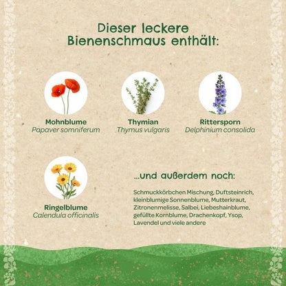 Bienenschmaus – Bienenfreundliche Saatmischung