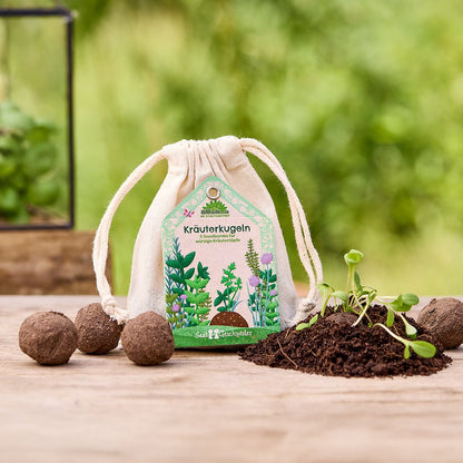 Herb balls – seed bombs for fresh kitchen herbs