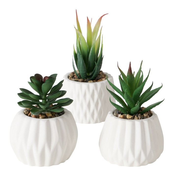 Artificial Succulent Plant in Pot White H15cm