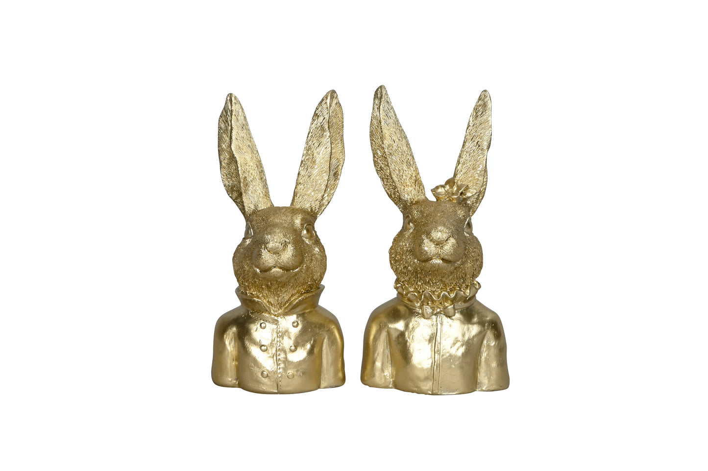 🐰 Edles Häschen- Goldene Frühlingsboten 2-fach sort.